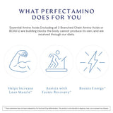 BodyHealth PerfectAmino polvo en vaso: mezcla rápida para energía durante sesiones