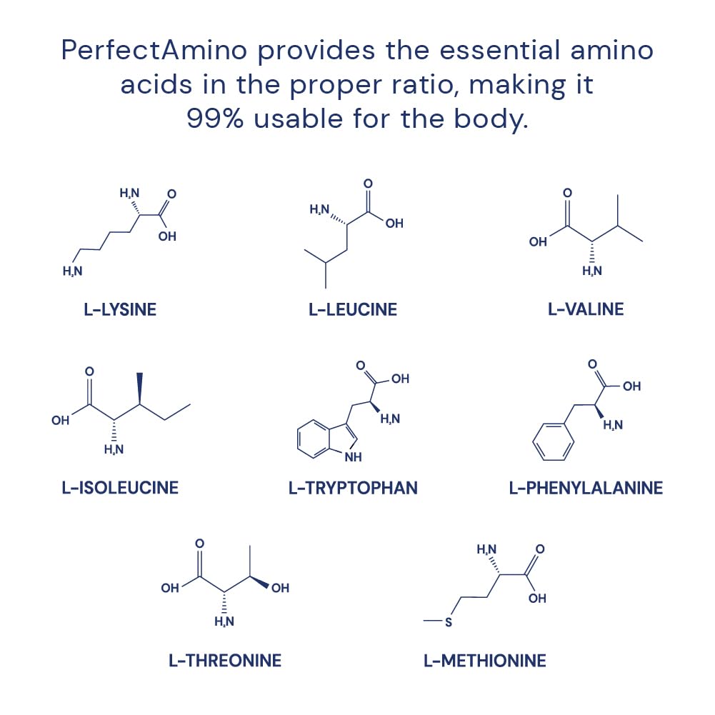 BodyHealth PerfectAmino proteína vegana para apoyo nutricional sin productos animales