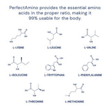 BodyHealth PerfectAmino proteína vegana para apoyo nutricional sin productos animales
