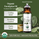 BodyJ4You Eucalipto Roll-On, frasco ámbar y vidrio, conserva la fragancia para inhalaciones.
