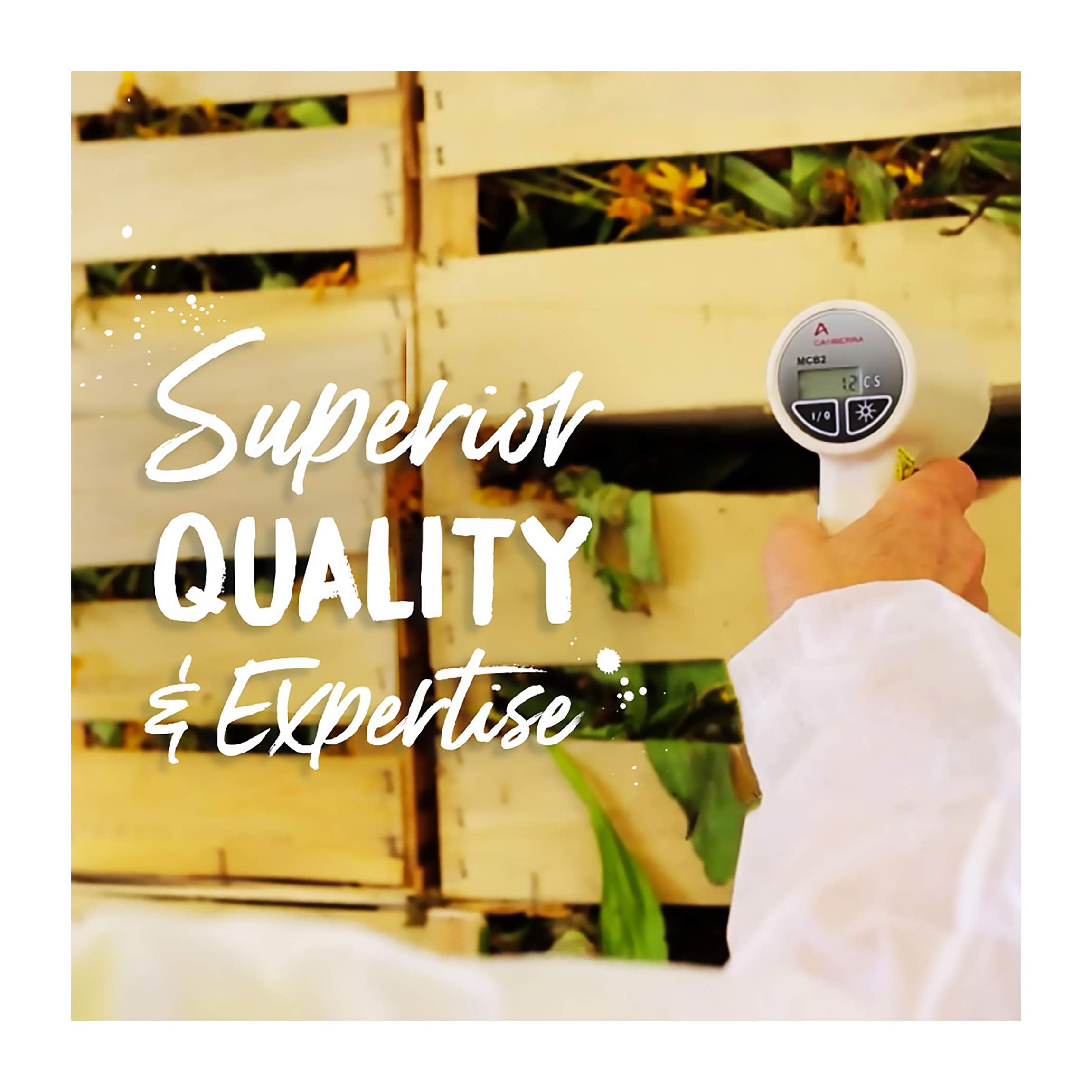 Boiron Arnica Montana 200Ck, ayuda para rigidez muscular tras entrenamiento.