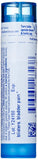 Boiron Cantharis 30C, dosis diaria recomendada para empezar temprano