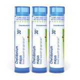 Boiron Chelidonium Majus 30C: tubos multidosis para uso práctico diario.