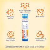 Boiron ColdCalm On the Go: envase en tubo portátil para llevar a cualquier lugar.