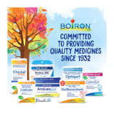 Boiron Hydrastis Canadensis 6C pellets de disolución rápida para uso diurno