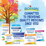 Boiron Hypericum perforatum 6C, granulos fáciles de tomar para el manejo diario.
