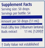 Boiron Lithy Tree frasco de 2 oz con extracto de brote para gemmoterapia suave.