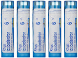 Boiron Rhus Toxicodendron 6C, tubos 80 perlas, formato práctico para molestias leves