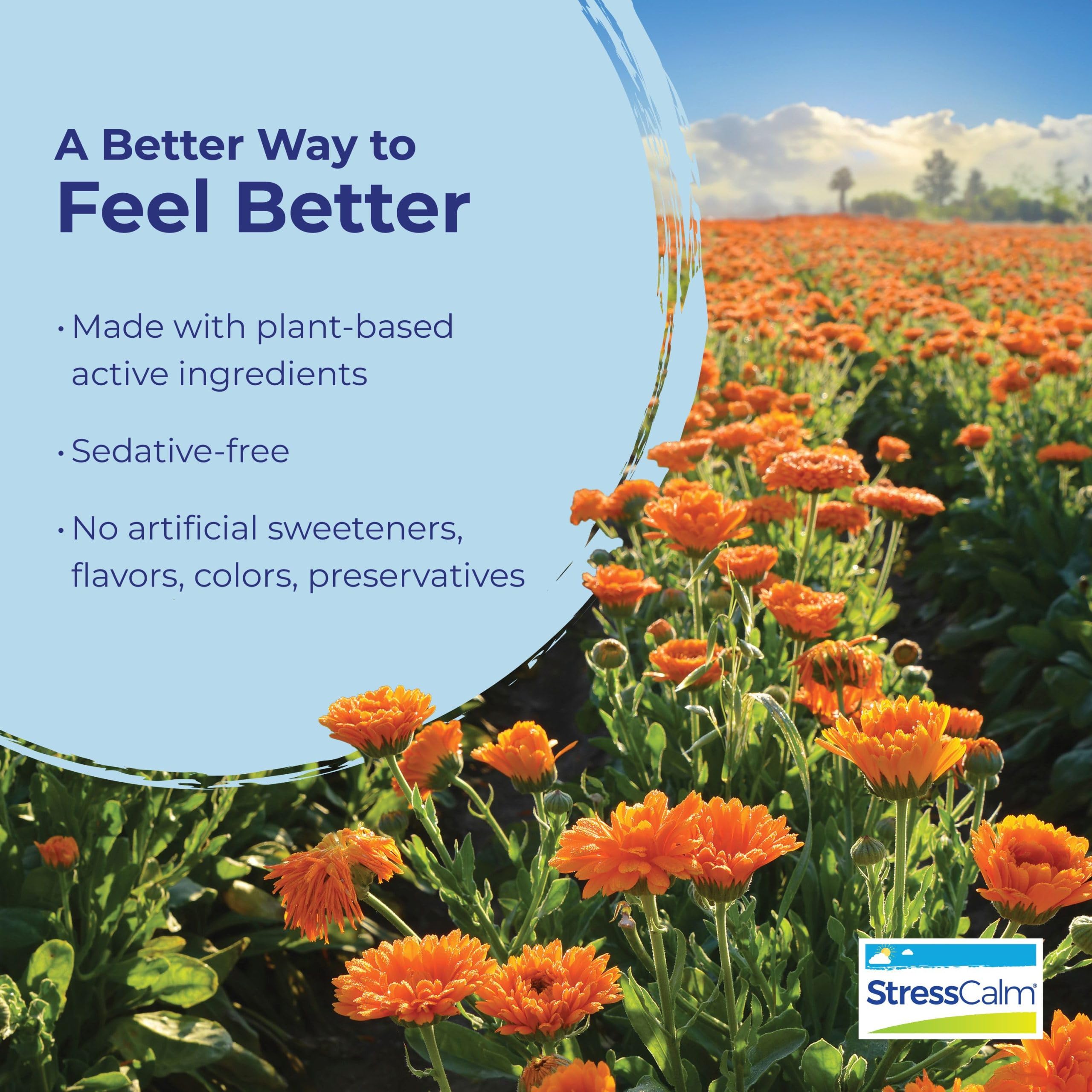 Boiron StressCalm Tabs: uso diario, apoyo a la concentración sin sedantes.