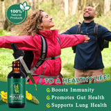 Gordolobo boiuoiti: apoyo inmunológico general con extracto natural.