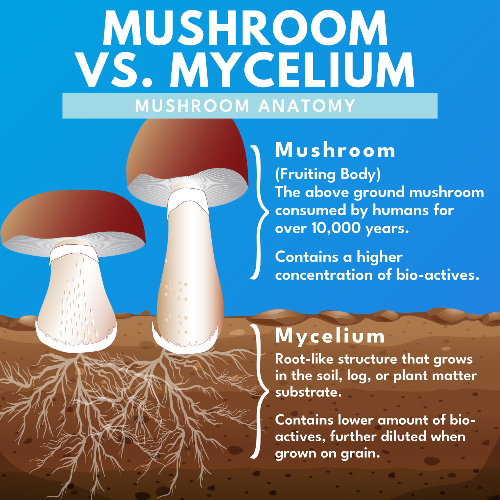 Caja de Bold Botanica Mushroom Supreme7 con sello de sostenibilidad.