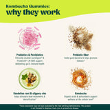 Ingredientes naturales de BoochBod con fibra y prebióticos