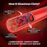 BOSCENT Lumbrokinase uso diario: soporte natural para el bienestar.