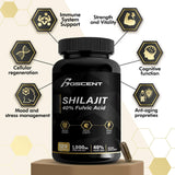 Boscent Shilajit cápsulas uso diario para energia sostenida