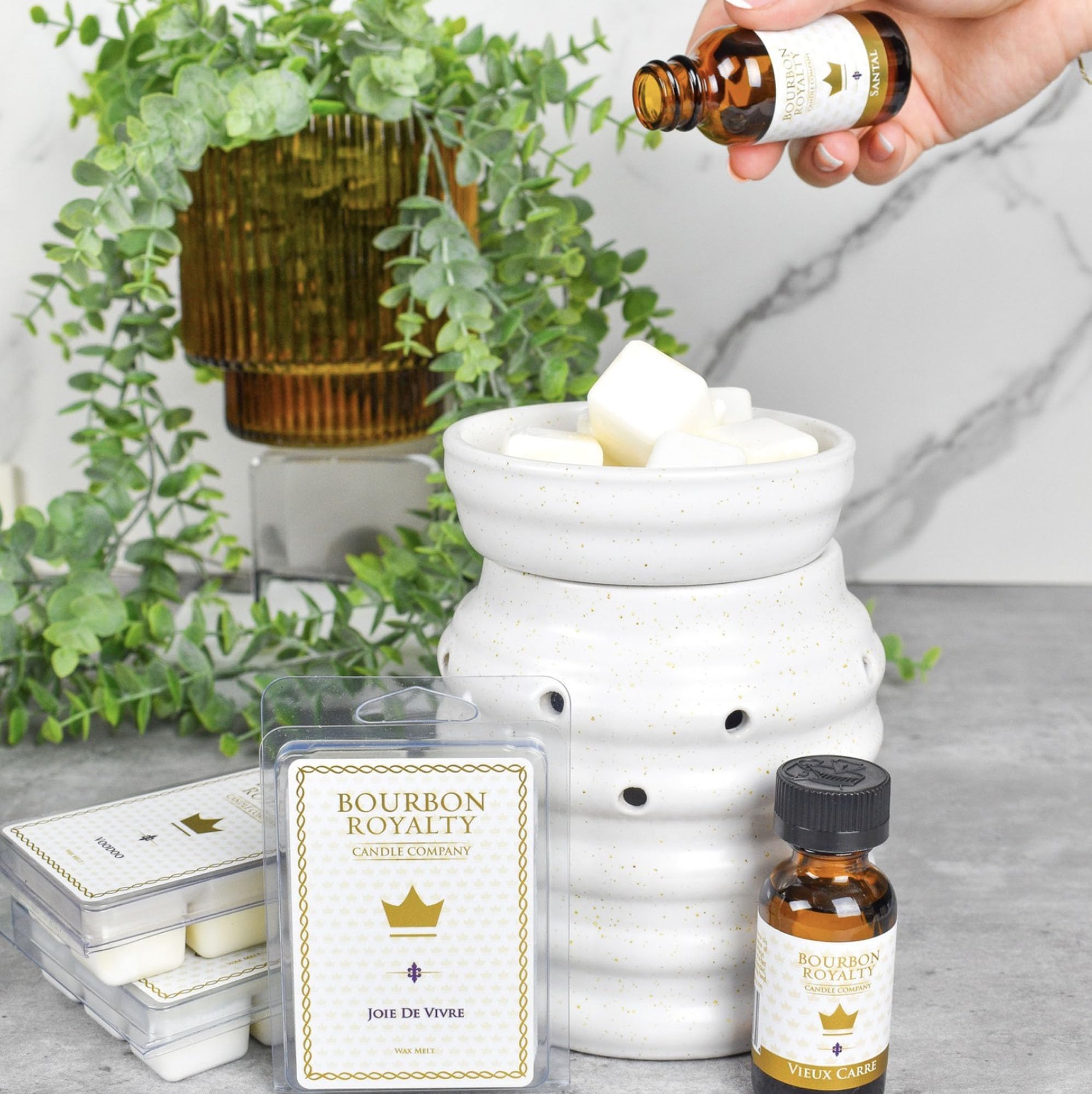 Bourbon Royalty Versailles: jazmín nocturno para ambiente sereno.