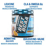 BCAA con matriz CLA para soporte de rendimiento y crecimiento magro.