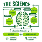 Vitaminas B5, B6 y B12 en BrainJuice para vitalidad mental.
