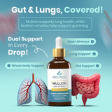 Breathium Gotas Verbascum - Dosis diaria para apoyo suave respiratorio