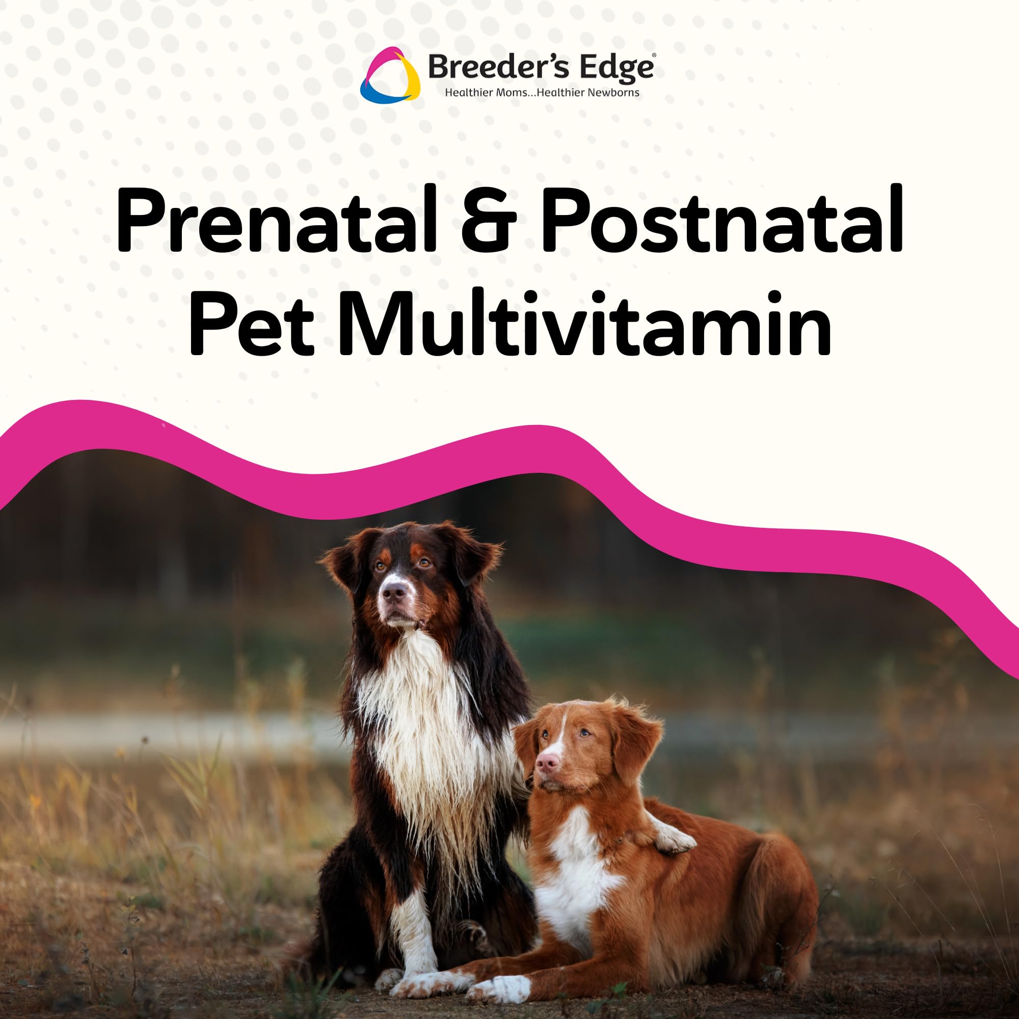 Breeder’s Edge Breed to Wean etiqueta detallada: información de nutrientes clave.