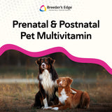 Breeder’s Edge Breed to Wean etiqueta detallada: información de nutrientes clave.