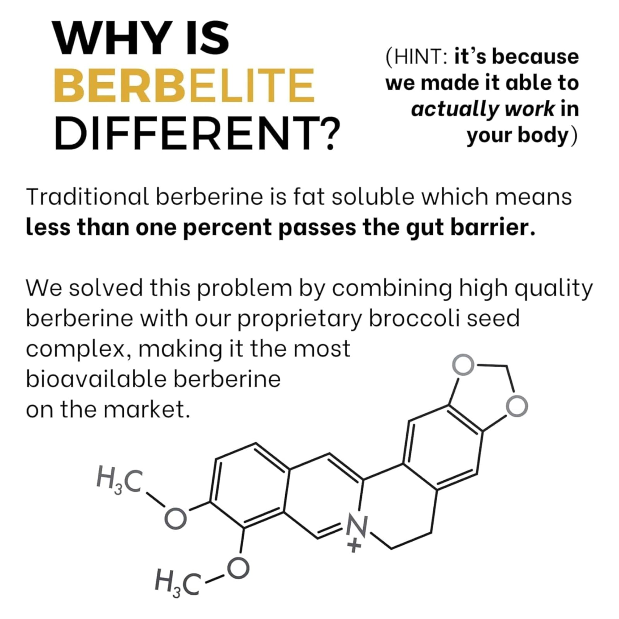 Complejo de semillas de brócoli en BerbElite, mejora la biodisponibilidad.