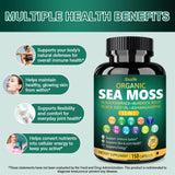 Bualle fucus en capsulas para soporte general