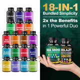 Cápsulas Panax Ginseng Bualle, vitalidad y claridad diaria.