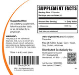 BulkSupplements L-Glutamina cápsulas estilo vida activo para rutina de entrenamiento