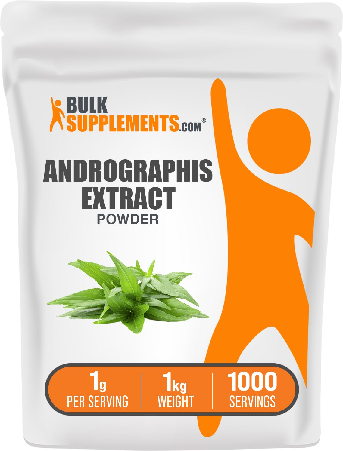BulkSupplements polvo de andrographis extracto, botella visible, ideal para la rutina diaria.