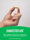 Frasco BulkSupplements Curcuma 500 mg, BPM certificada.