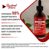 Berberina Gotas Burdvmd Trttvre, envase de 4 oz, práctico para uso diario.