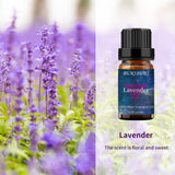 BURIBURI Eucalipto: botella de aceite esencial 10 ml, aroma fresco para masaje.