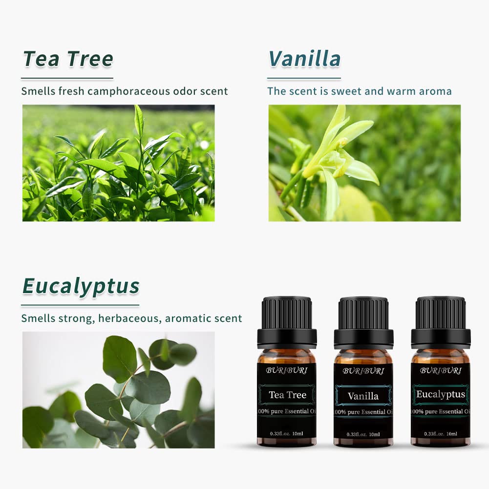 BURIBURI eucalipto, frasco ámbar de 10 ml con aroma fresco para el hogar.