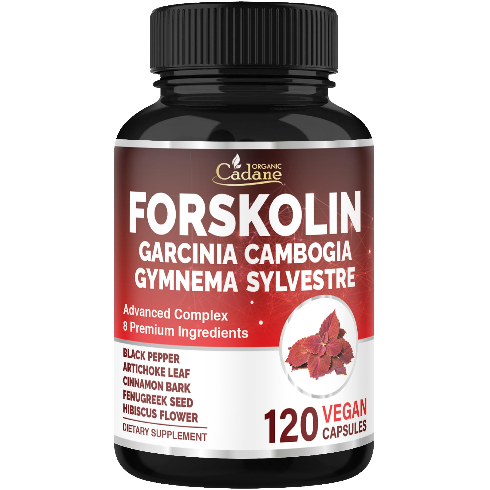 Cadane Forskolina: cápsulas en bote para energía y equilibrio diario.