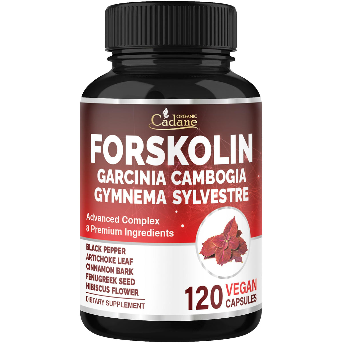 Cadane Forskolina: cápsulas en bote para energía y equilibrio diario.
