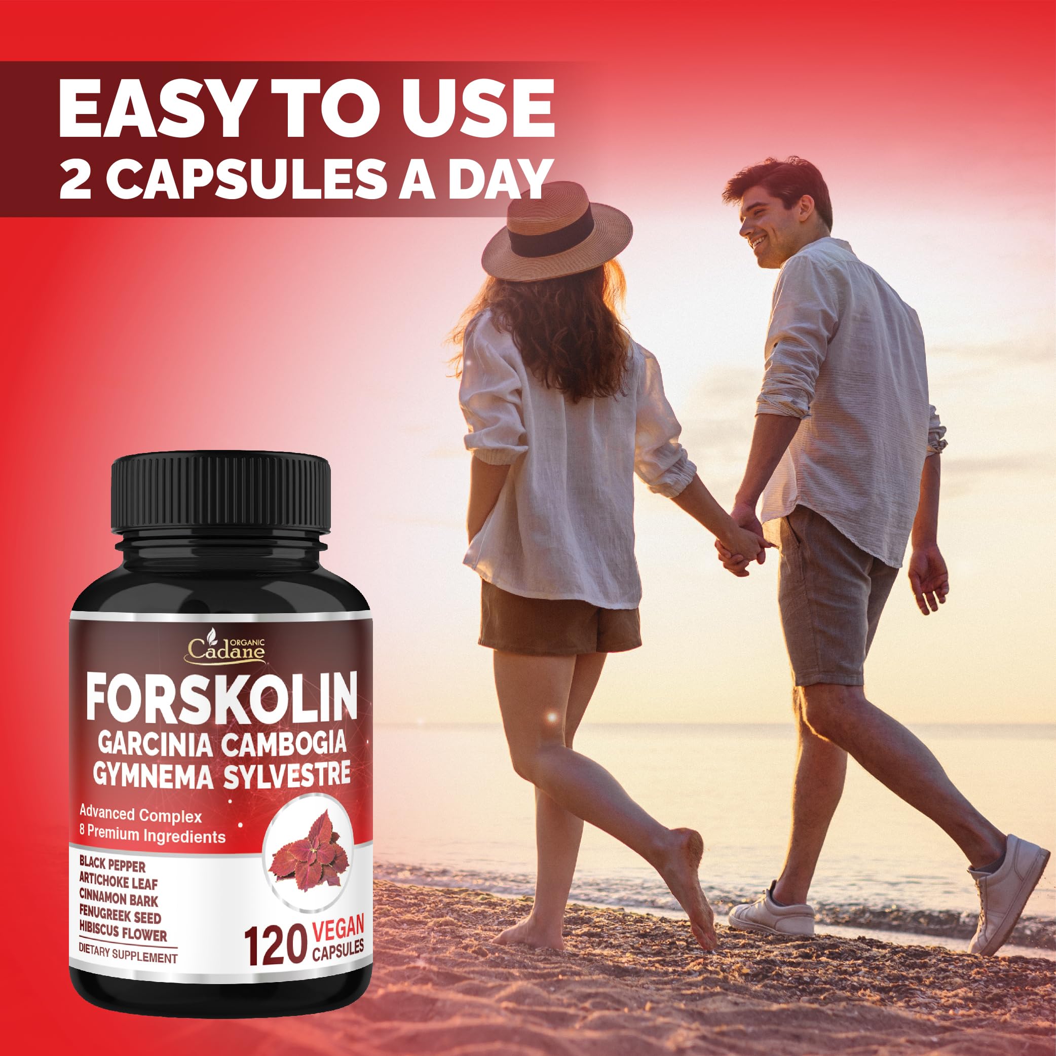 Cadane Forskolina: corteza de canela para aroma y sabor agradable.