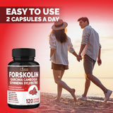 Cadane Forskolina: corteza de canela para aroma y sabor agradable.
