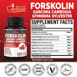 Cadane Forskolina: etiqueta frontal con ingredientes clave para bienestar.