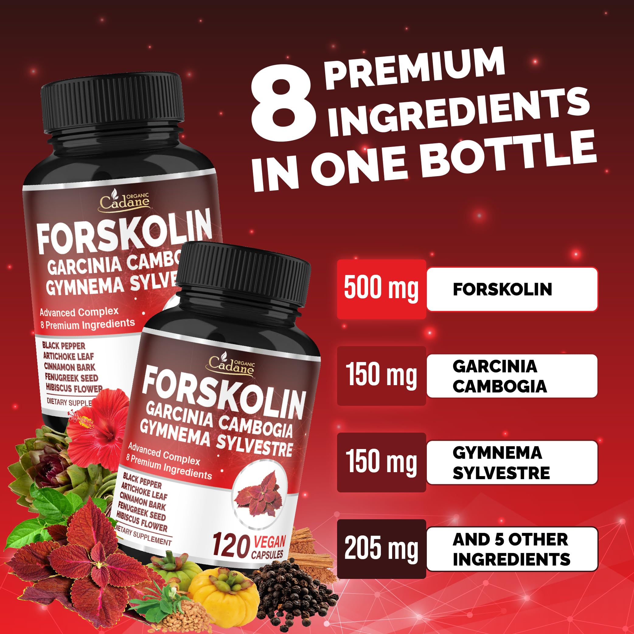 Cadane Forskolina: Garcinia Cambogia para energía sostenida.