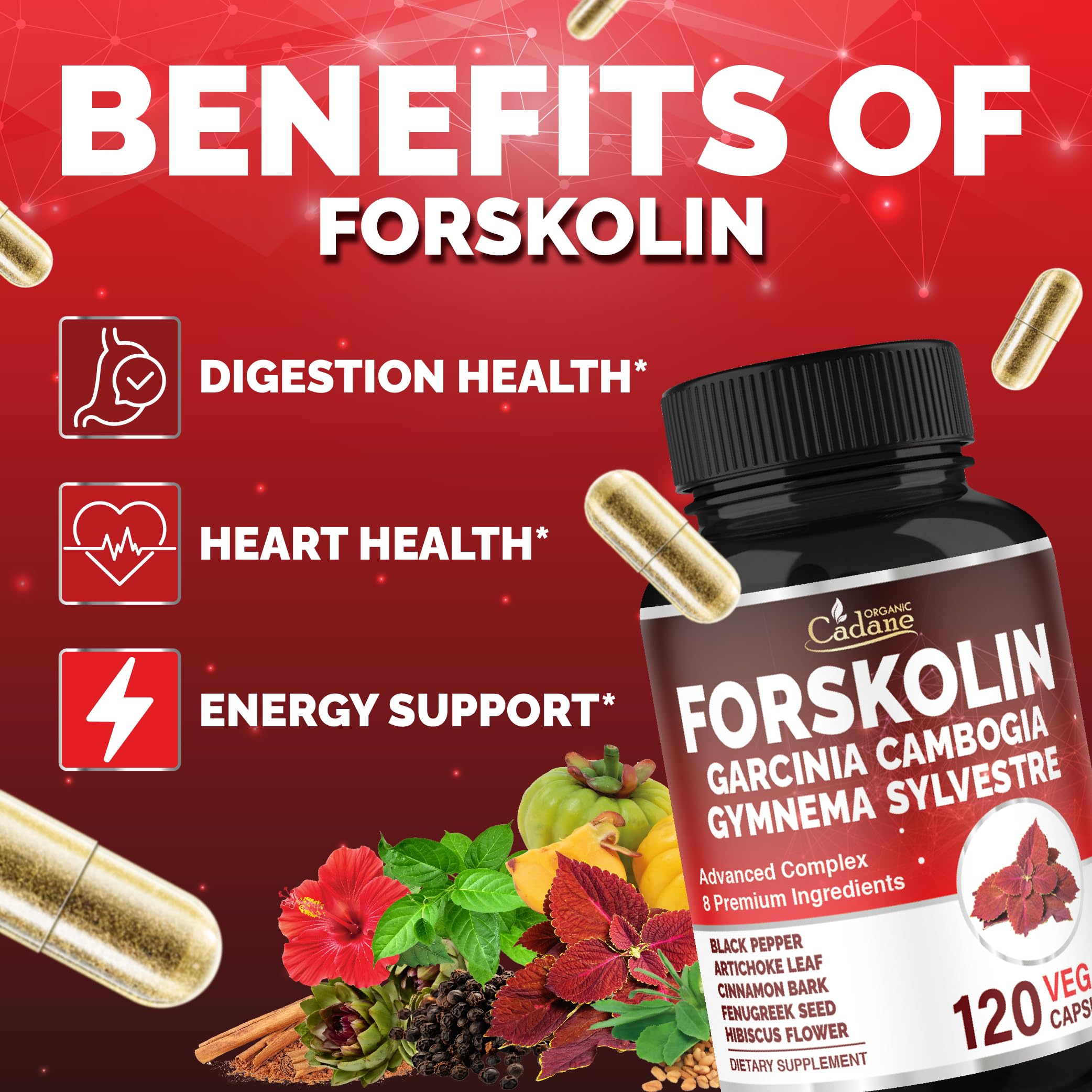 Cadane Forskolina: Gymnema Sylvestre para apoyo a la rutina diaria.
