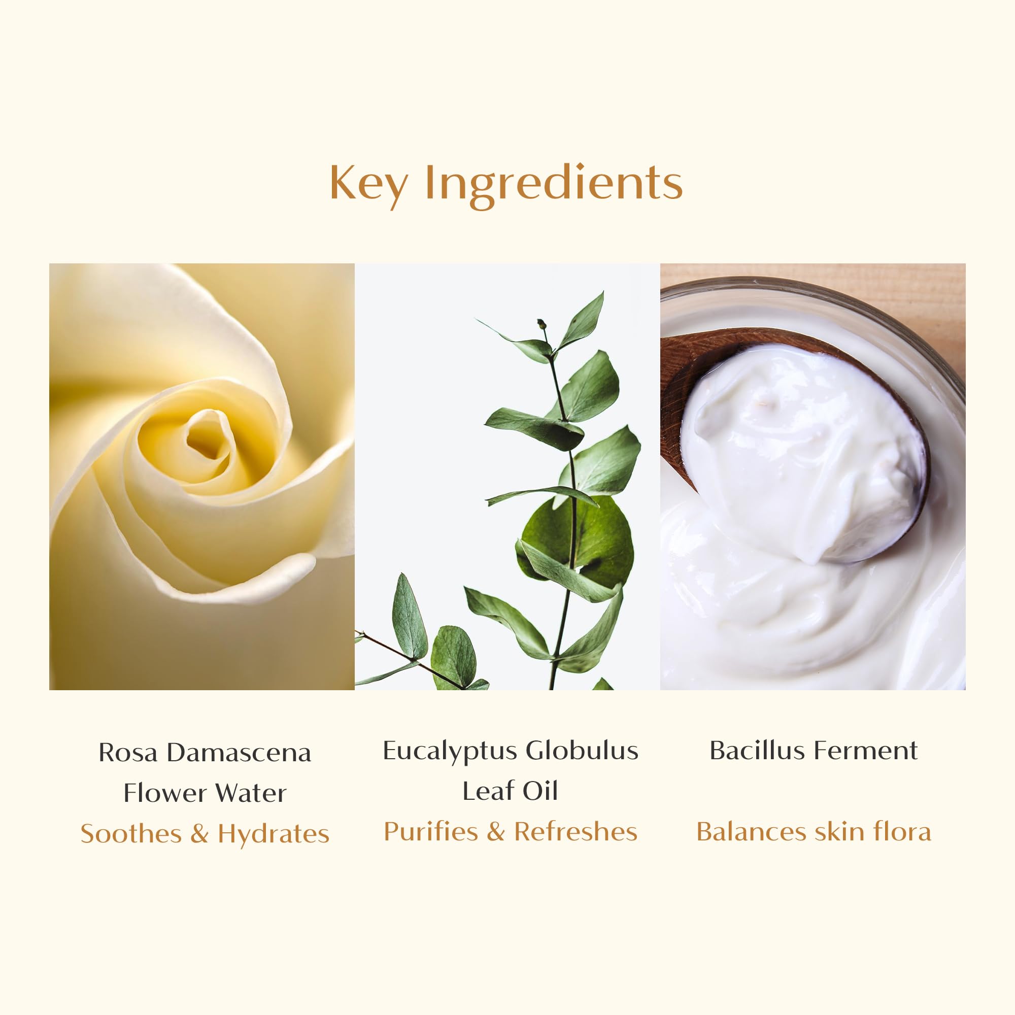 CAELA olor natural de rosa Damascena ofrece frescura sin irritación.