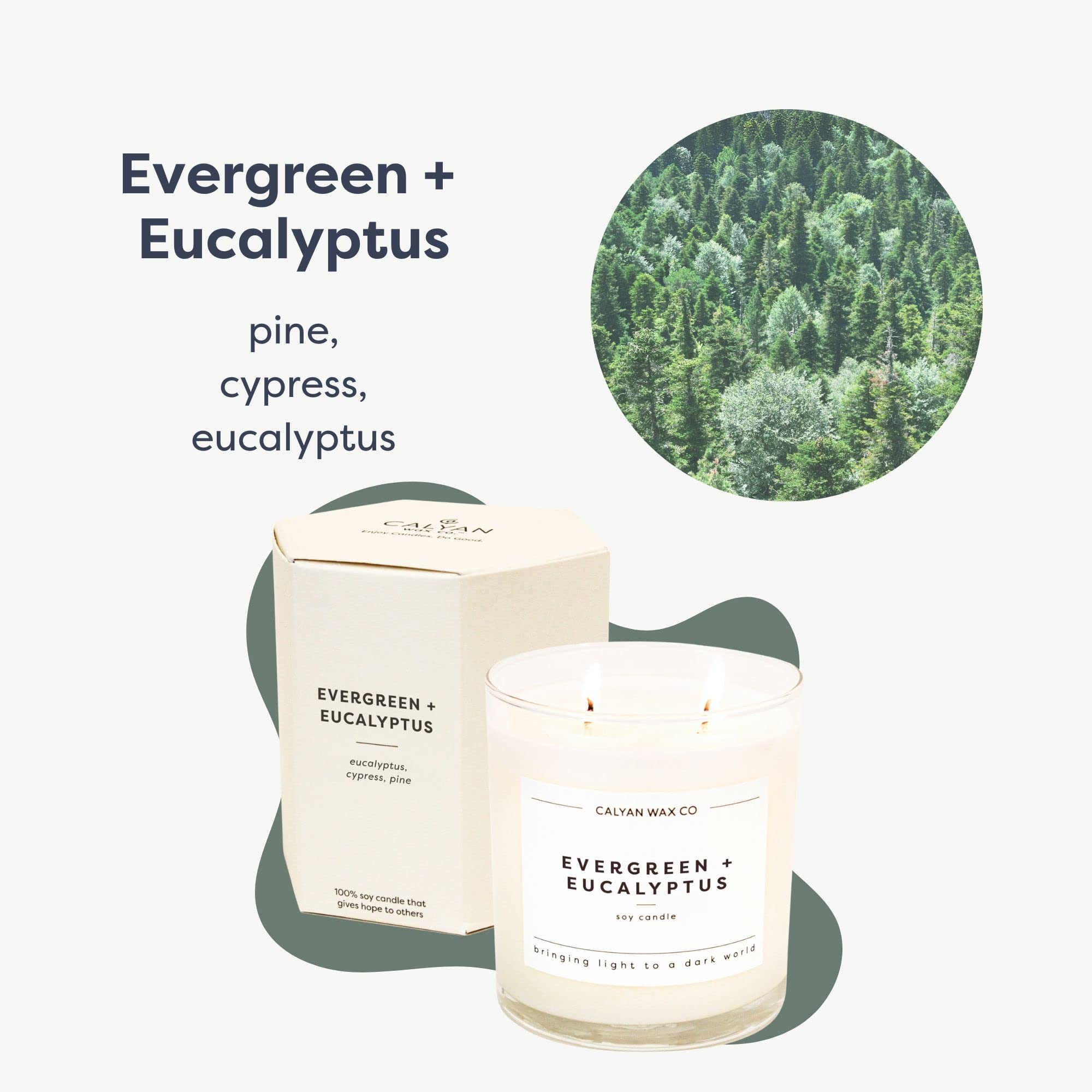 Aroma de lujo de eucalipto y pino para ambiente relajante con Calyan Wax Co.