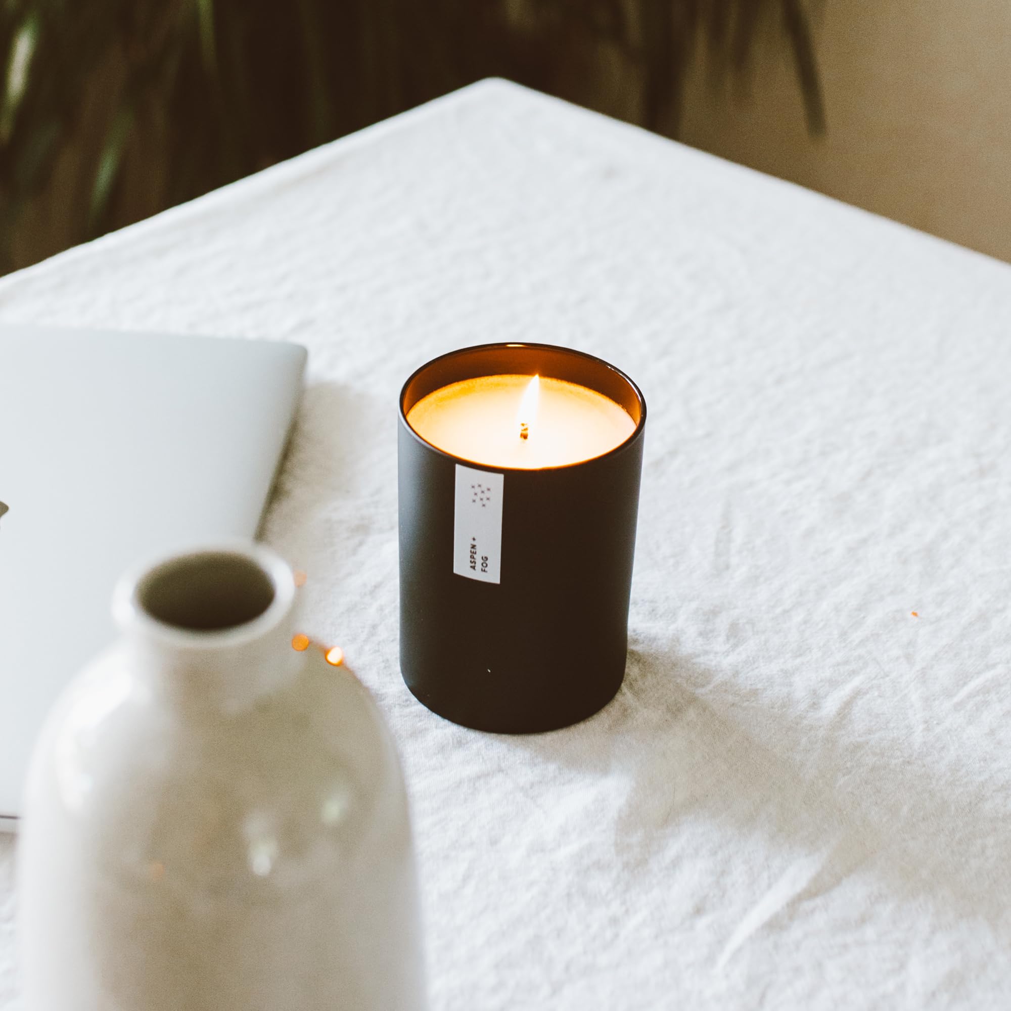 Calyan Wax Co. embalaje elegante en frasco negro