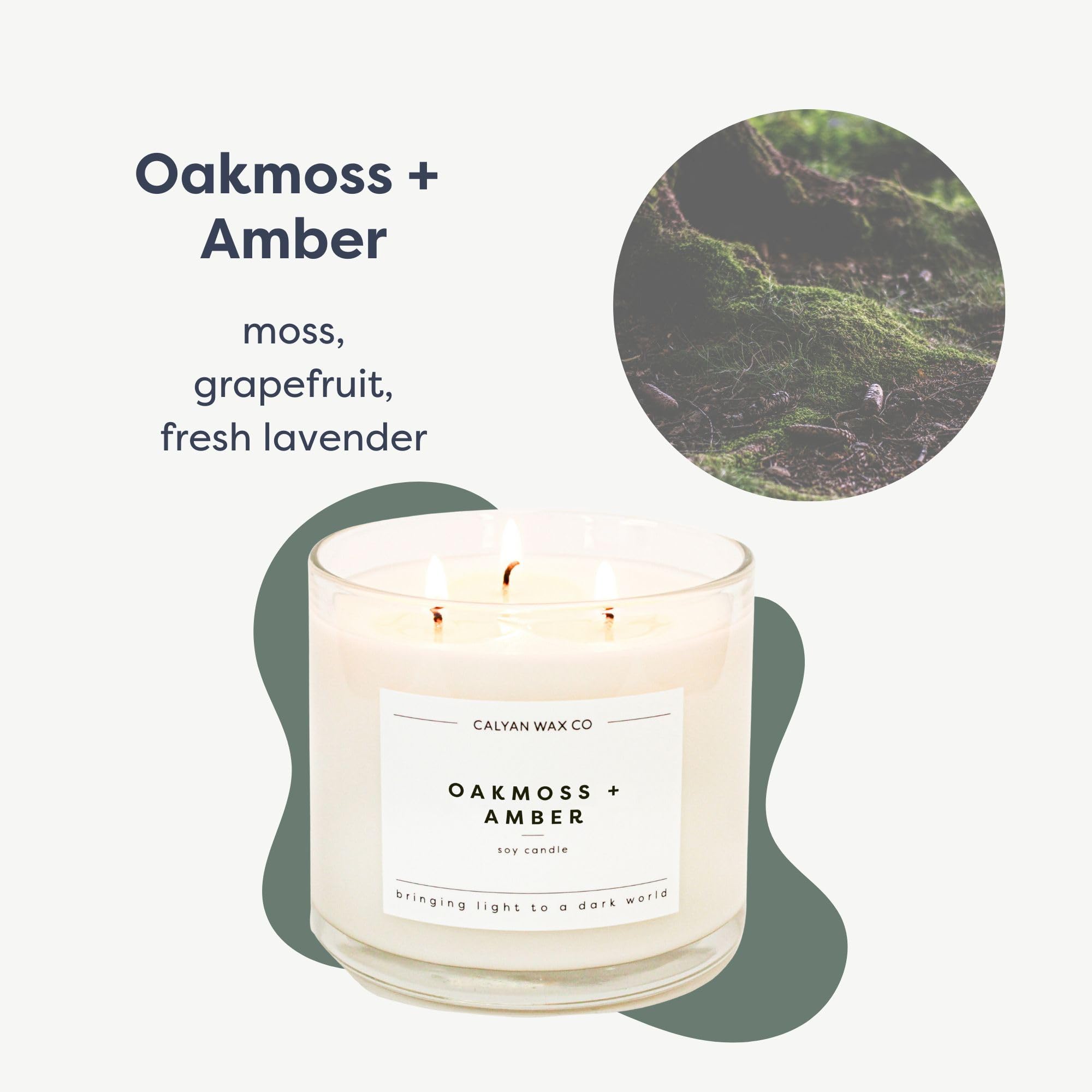 Calyan Wax Co. Oakmoss Amber vela grande en jarro de vidrio
