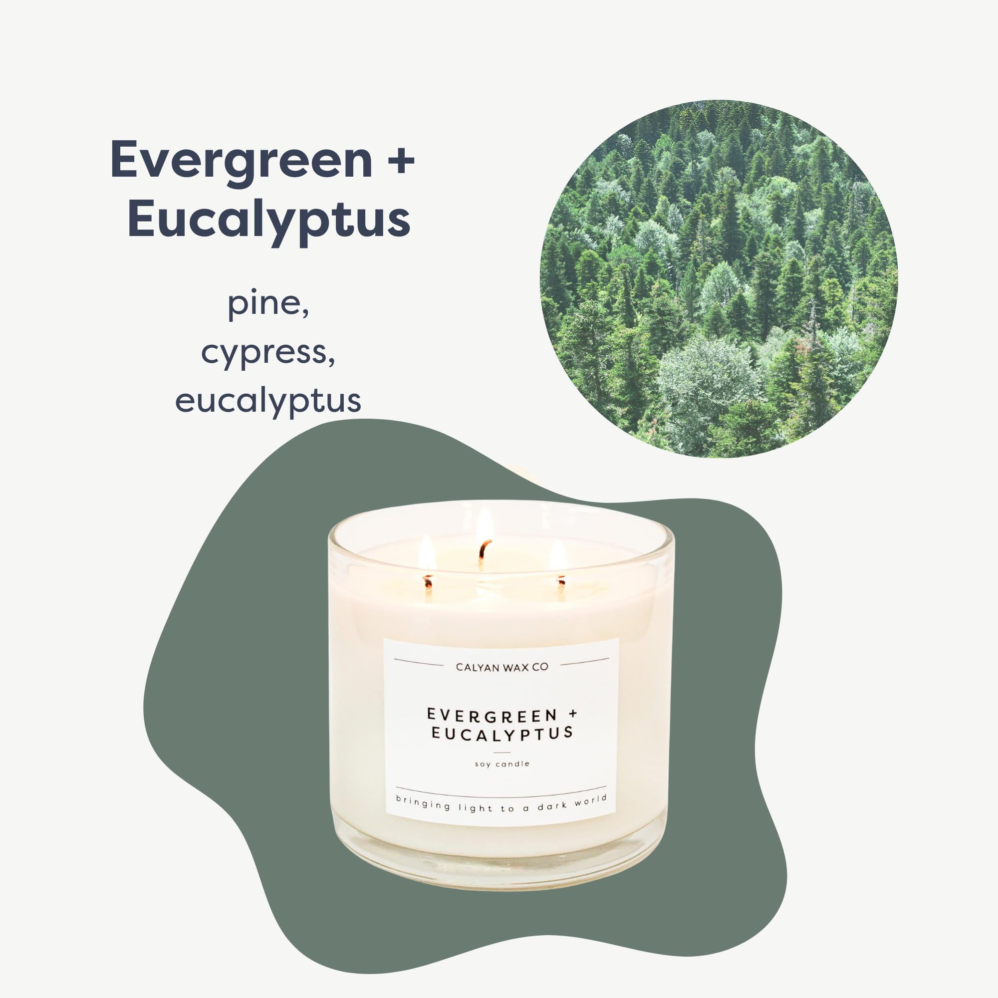 Calyan Wax Co. Evergreen y Eucalipto: vaso grande para perfume duradero en espacios amplios.