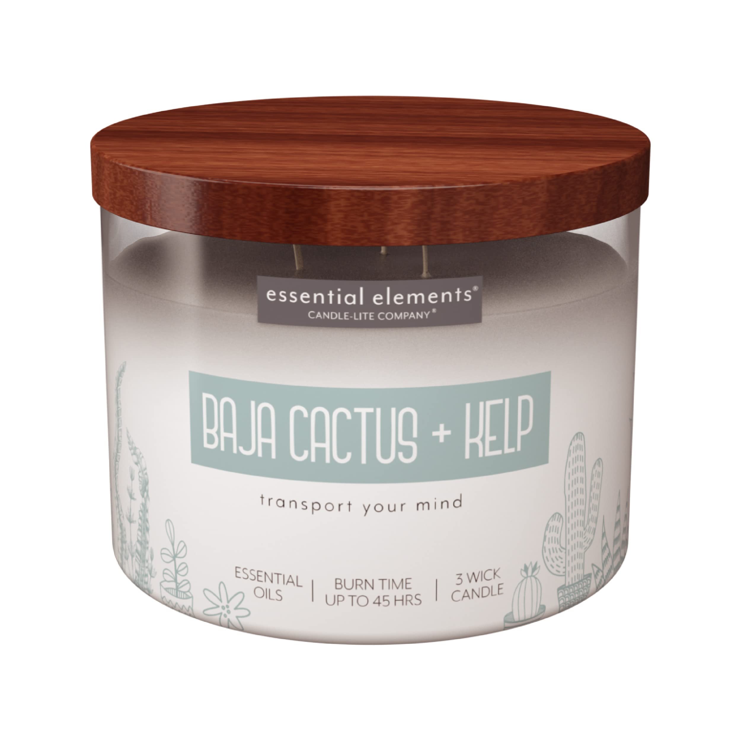 Vela Candle-Lite Essential Elements Baja Cactus y Algas, aroma herbáceo para relajación