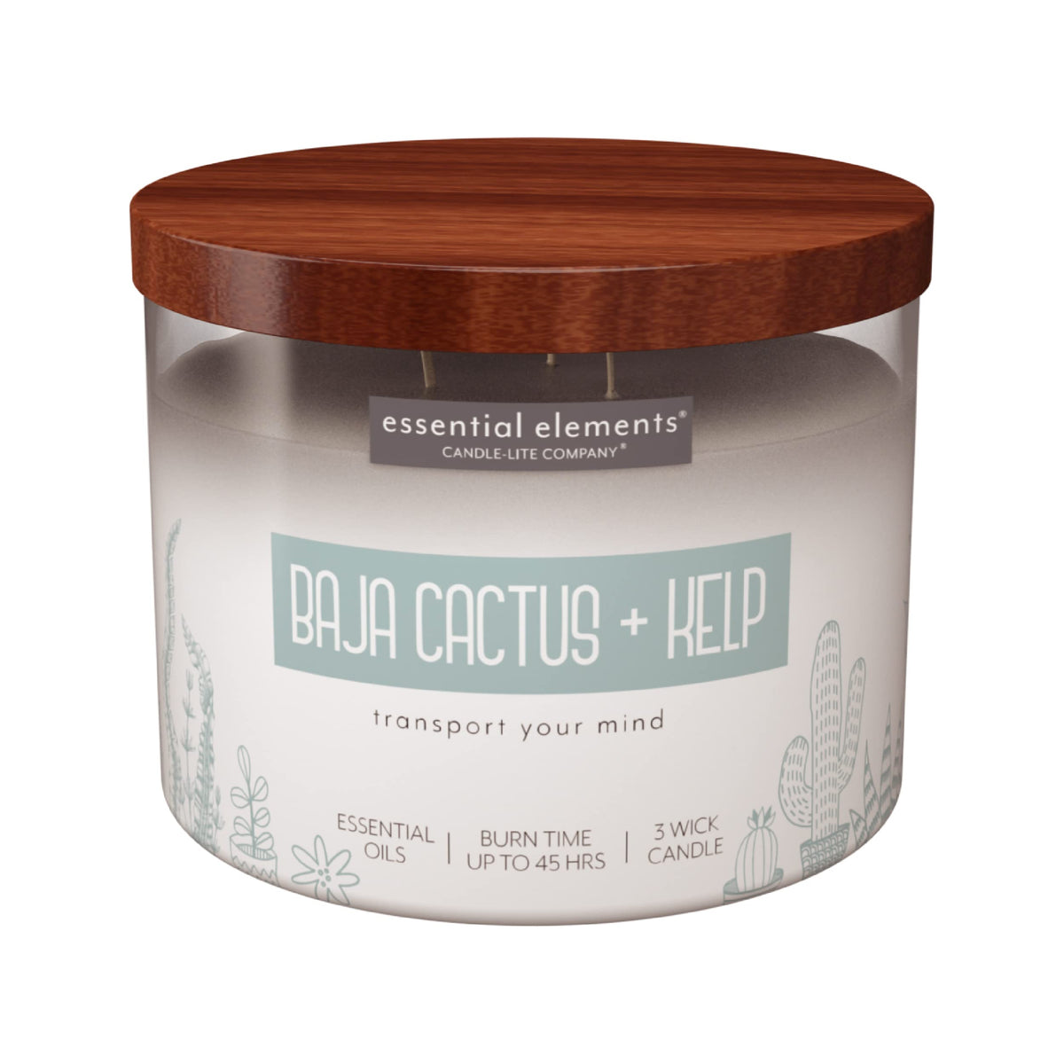 Vela Candle-Lite Essential Elements Baja Cactus y Algas, aroma herbáceo para relajación