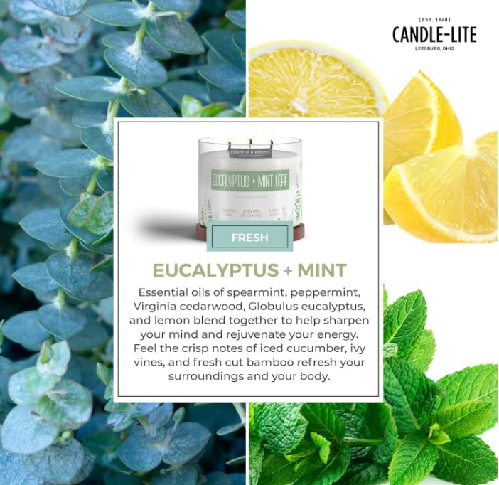 Candle-lite Essentials aroma eucalipto y menta: sensación fresca