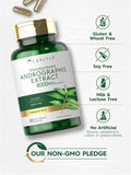 Frasco Carlyle Andrographis Paniculata con garantía de calidad y pruebas de laboratorio