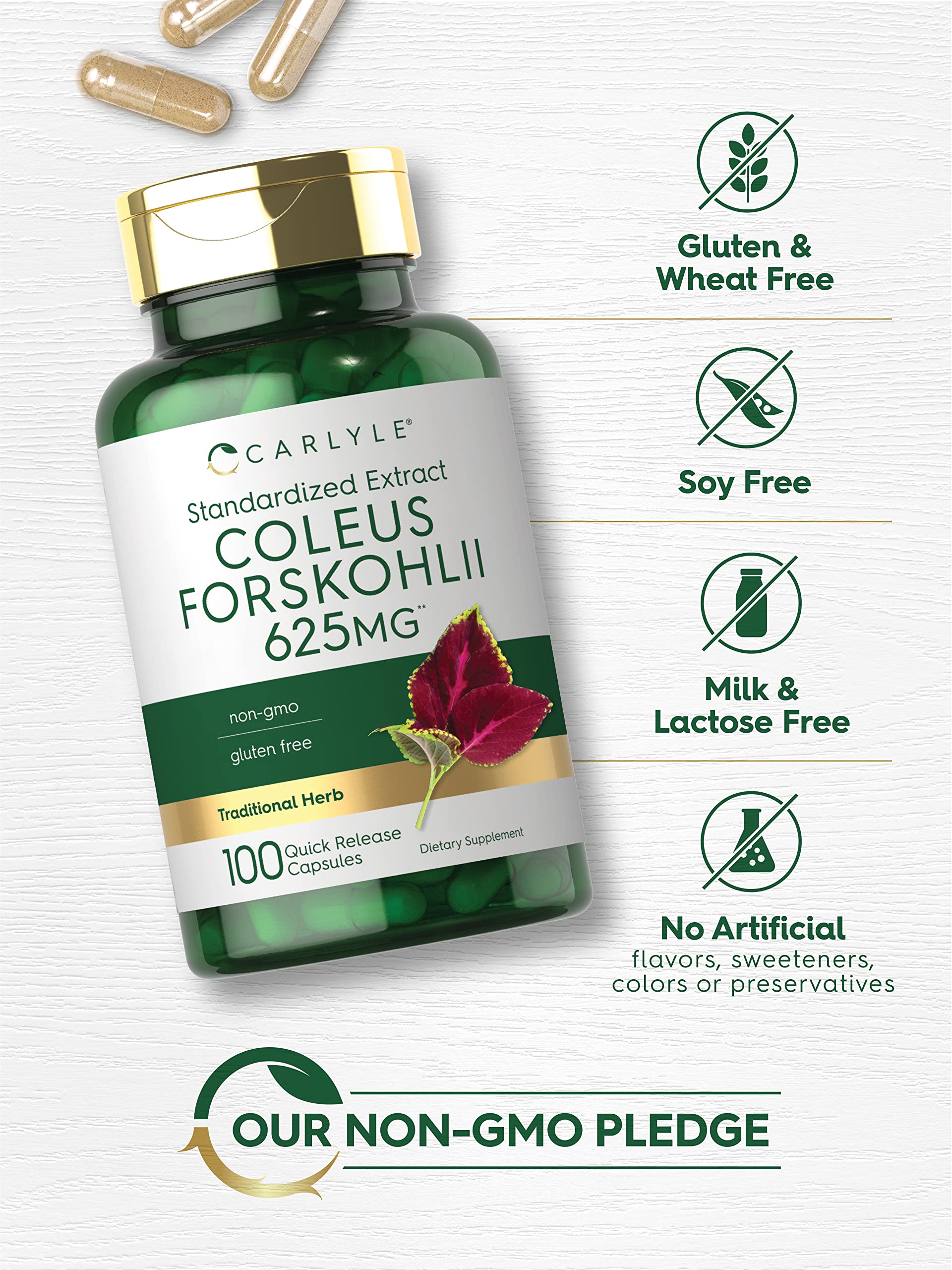 Caja exterior Carlyle Coleus Forskohlii lista para compra